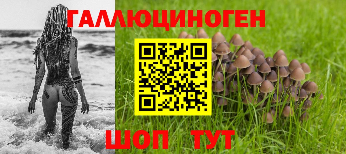 Псилоцибиновые грибы мухоморы  купить  цена  Кубинка  Вход с VPN 